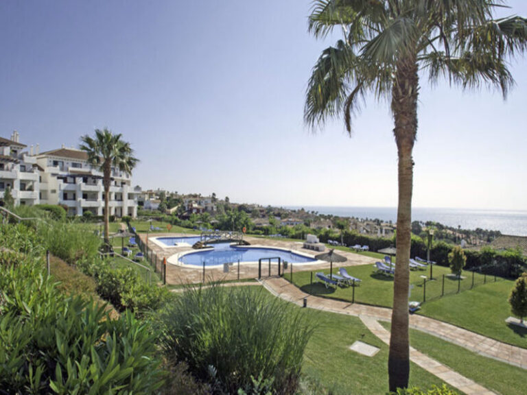 swimming pool and the view