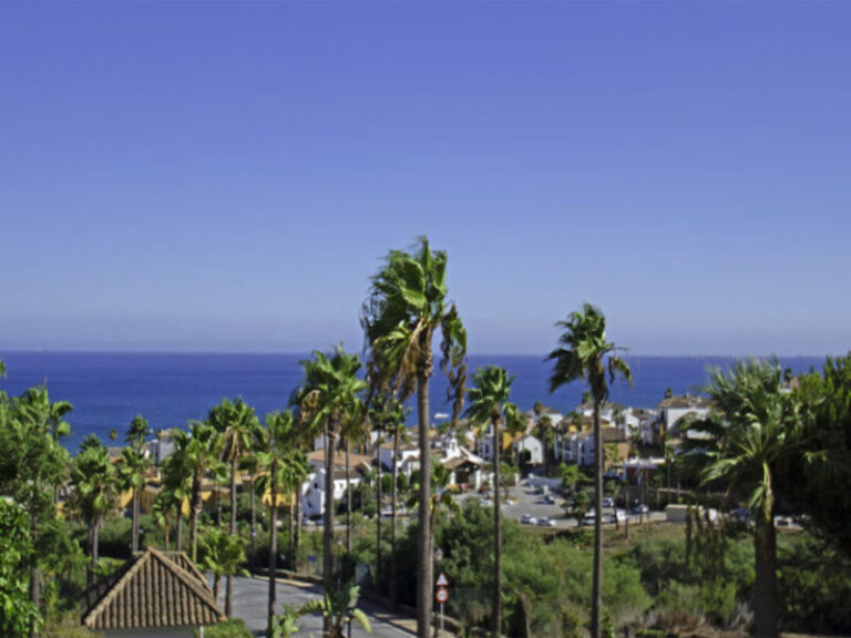 terrace and the view