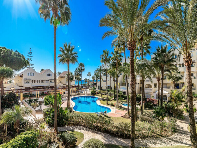 swimming pool and garden