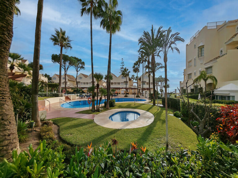 swimming pool and garden