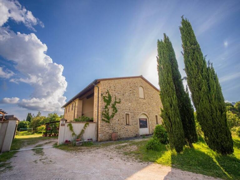 house and the view