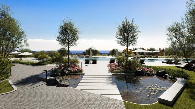 pool and view