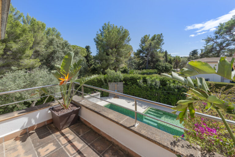 terrace and pool