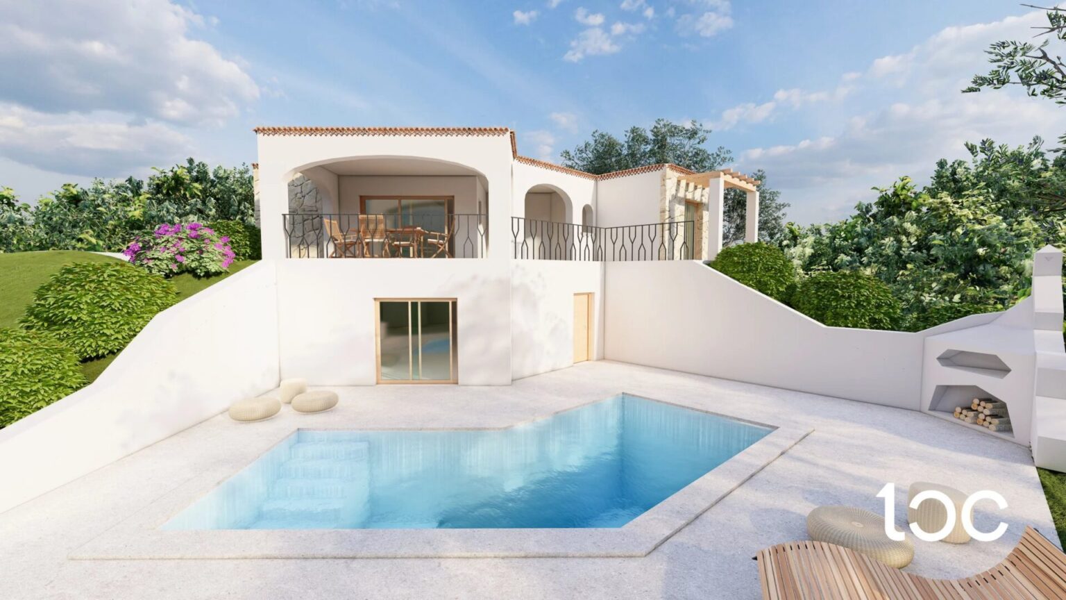pool and house