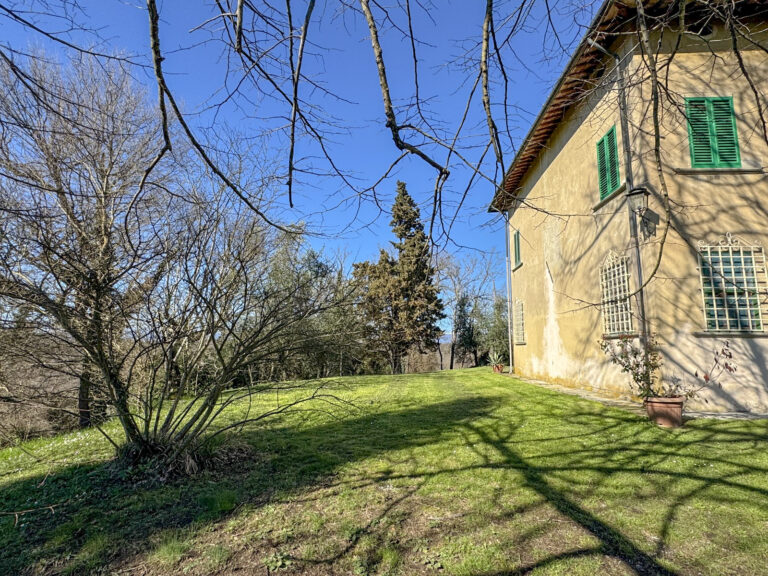 43-IMG_3776