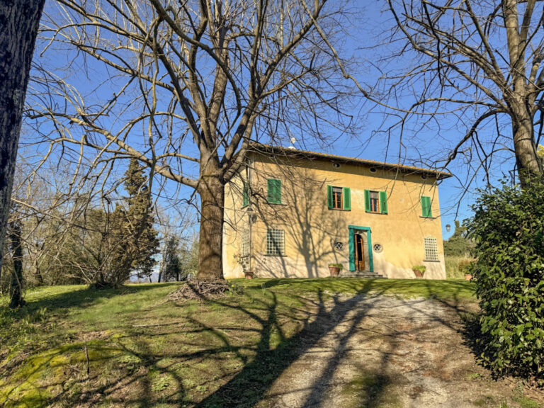 52-IMG_3785