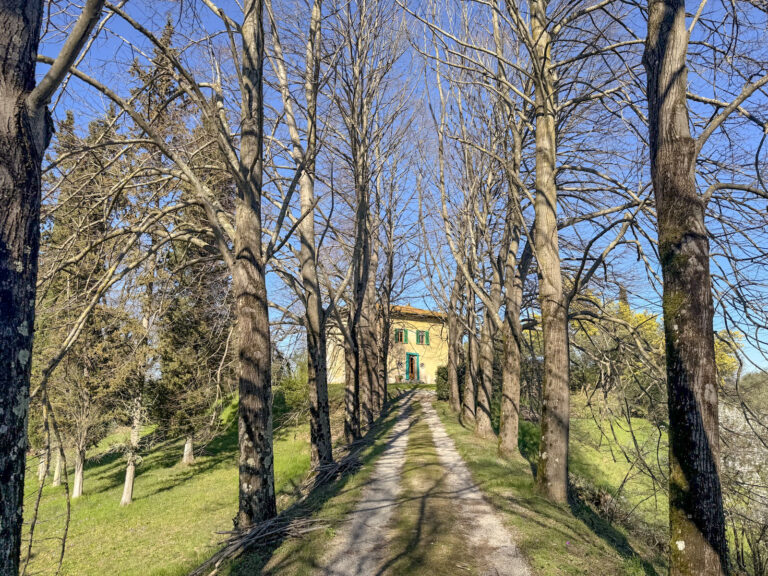 53-IMG_3786