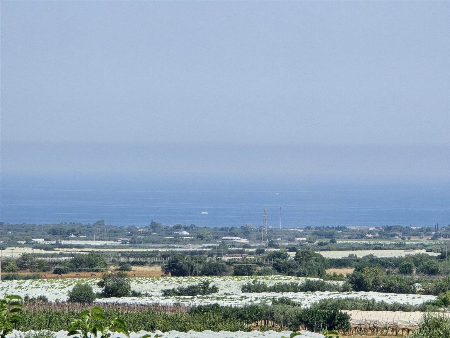 view